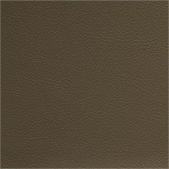 Symphony Classic Porcini